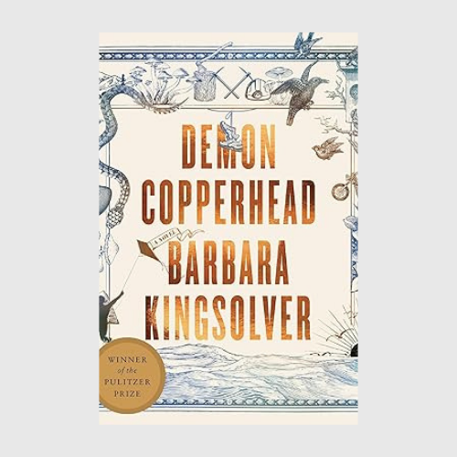 Demon Copperhead: A Novel